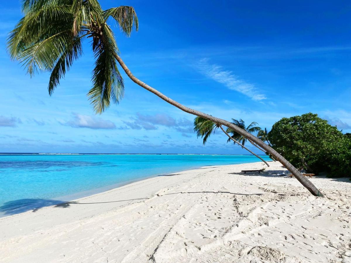 Serene Sky Guest House Thoddoo-Atoll Exterior foto
