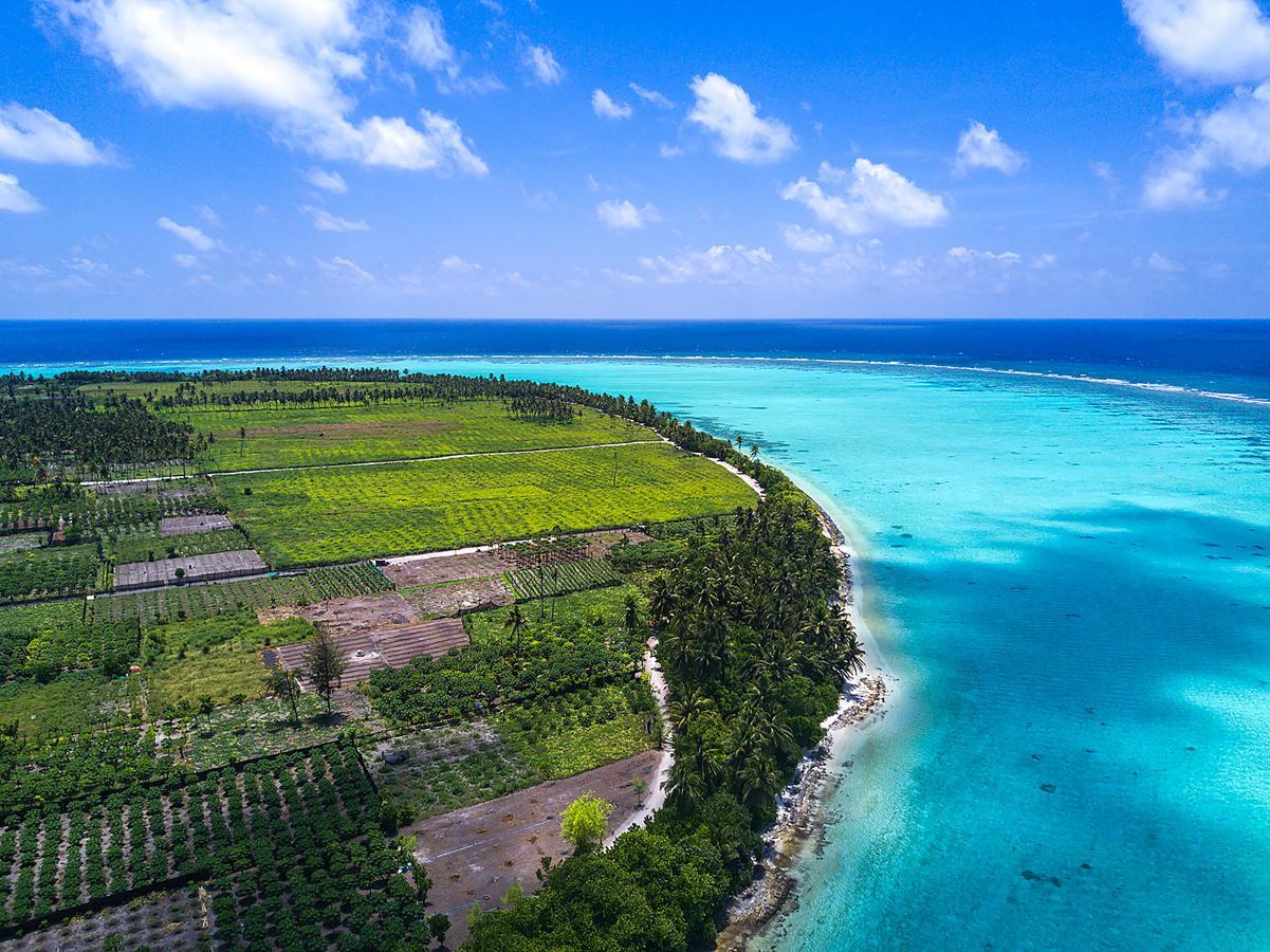 Serene Sky Guest House Thoddoo-Atoll Exterior foto
