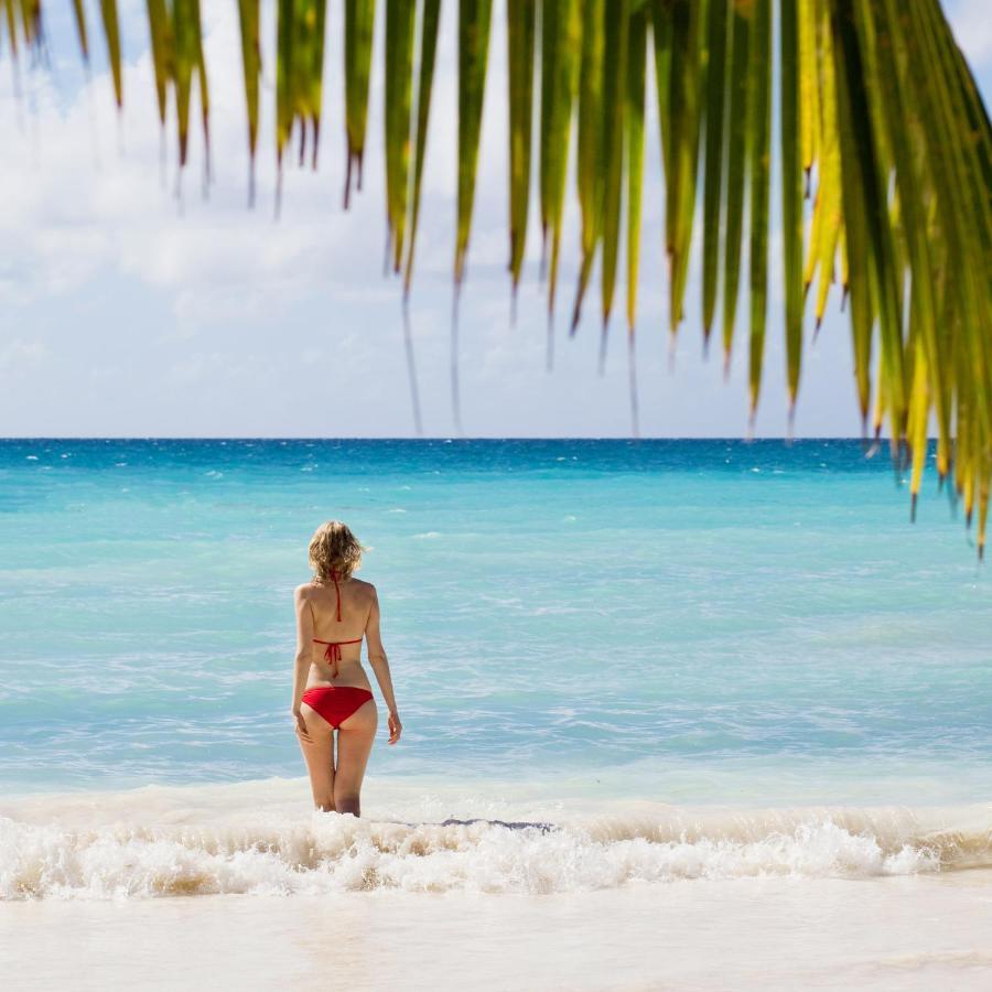 Serene Sky Guest House Thoddoo-Atoll Exterior foto
